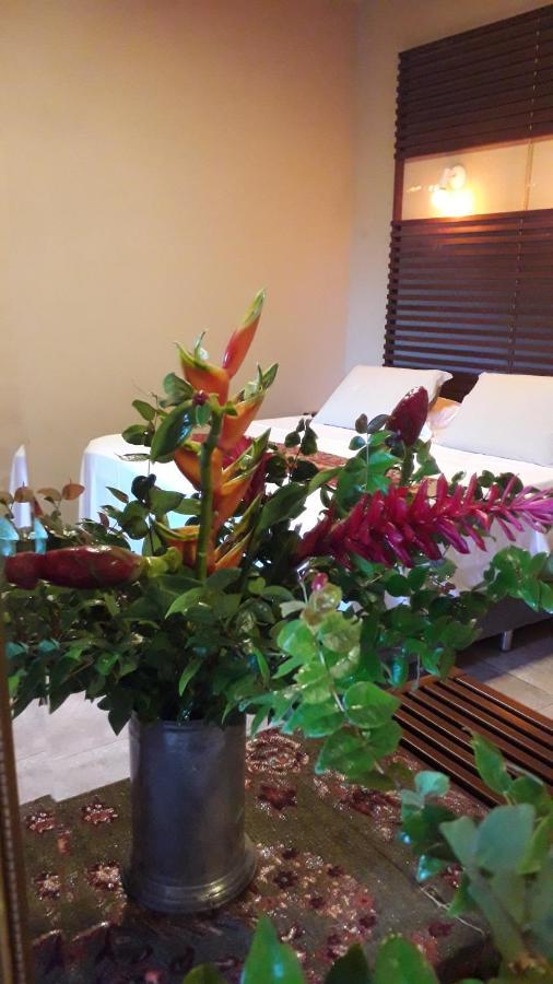 Alfa Beach (Adults Only) Cacha Pregos Luaran gambar